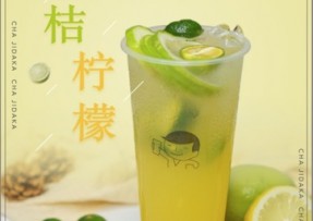 蓝鲸体育：金桔柠檬